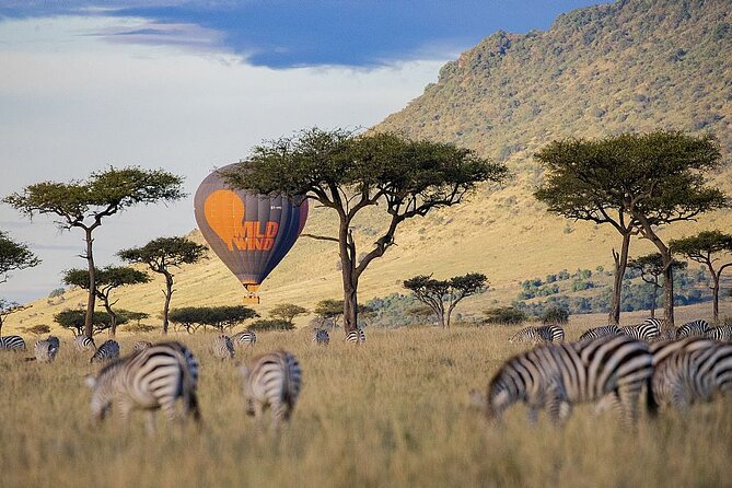 4-Day Masai Mara and Lake Nakuru Safari Tour from Nairobi - Lodges, meals, and what full-board really means for your day