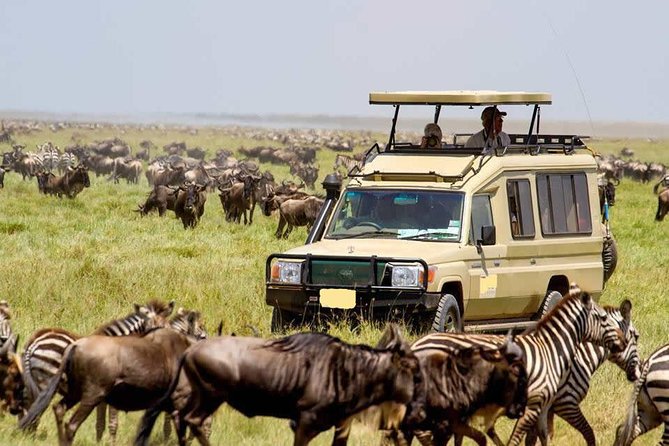 4 Day Masai Mara & Lake Nakuru Group Joining Camping Safari - Daily Departures - Maasai Mara Day 2: Mara River focus and a Maasai village option