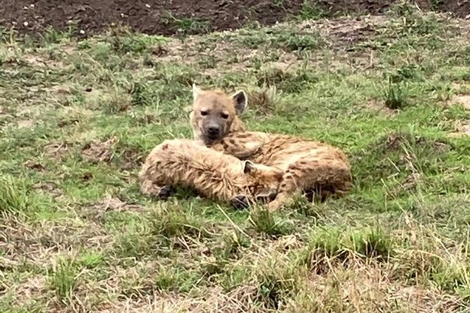 4-Day Masai Mara - Luxury Private safari (JEEP) - Day 1: Rift Valley viewpoints, arrival by lunch, then a 4pm first game drive