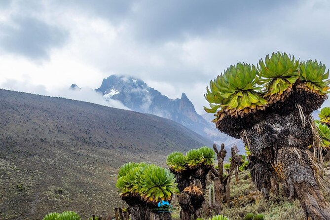 4 Day Mount Kenya Trek Up Chogoria Down Sirimon - Day 4: 04:30 Summit Push, Rope-Line Steep Section, Via Ferrata, Then Sirimon Down