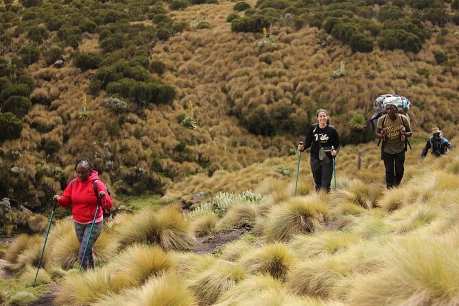 4-Day Mount Kenya Trekking with Pick Up - Peak Lenana in four days, the “right amount” of challenge