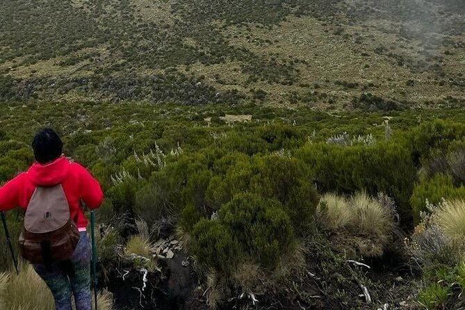 4-Day Mount Kenya Trekking with Pick Up - Camp life and the support team that keeps you safe and moving
