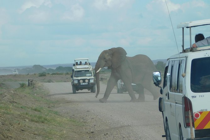 4 Day Private Masai Mara National Reserve & Lake Nakuru National Park Safari - Key Highlights You’ll Care About