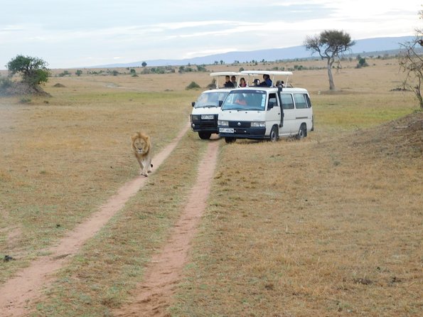 4 Day Private Masai Mara National Reserve & Lake Nakuru National Park Safari - Why This Lake Nakuru to Masai Mara Plan Works