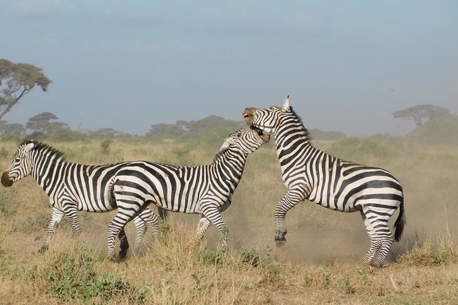 4 Day Private Masai Mara National Reserve & Lake Nakuru National Park Safari - Day 1 in Lake Nakuru National Park, Flamingos Plus Rhino Chances
