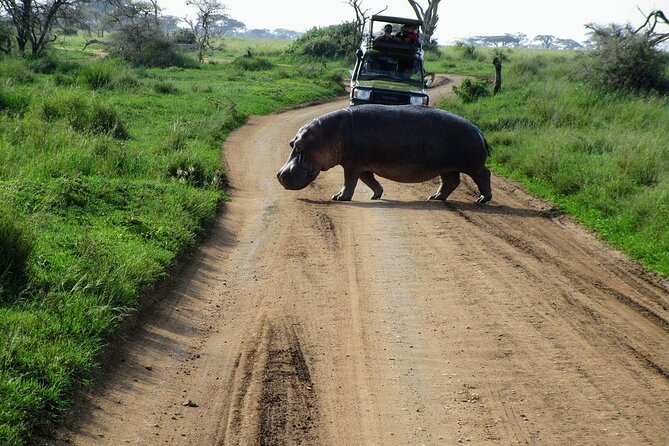 4-Day Tour in Lake Nakuru, Lake Naivash, Masai Mara from Nairobi - Key highlights you will actually feel