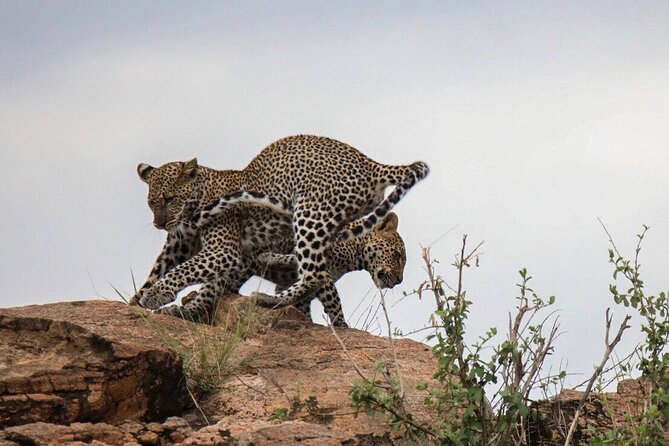4-Day Tour in Lake Nakuru, Lake Naivash, Masai Mara from Nairobi - Day 1: Lake Naivasha boat time and Crescent Island’s guided walking