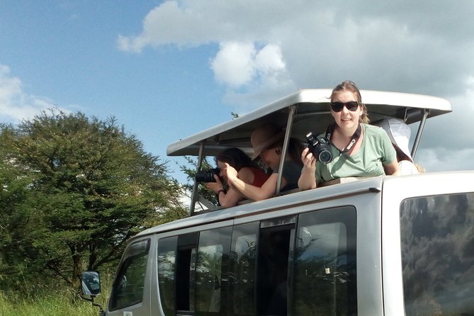 4-Day Tsavo East West and Amboseli National Park from Mombasa - Final Morning Into Nairobi: One Last Drive and a Clean Finish