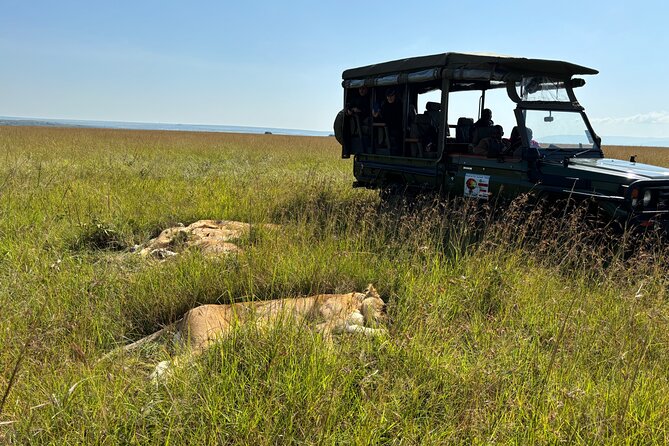 4 Days 4WD Private Maasai Mara, Nakuru Parks with Lodge LUXURY - Day 1: Nairobi to Maasai Mara with Rift Valley breaks and a sundown drive