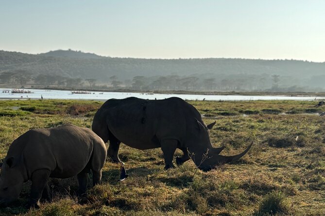 4 Days 4WD Private Maasai Mara, Nakuru Parks with Lodge LUXURY - Day 4: morning options in Nakuru, then back to Nairobi