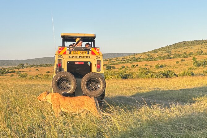4 Days 4WD Private Maasai Mara, Nakuru Parks with Lodge LUXURY - Food, water, and lodge Wi-Fi: what full-board really means