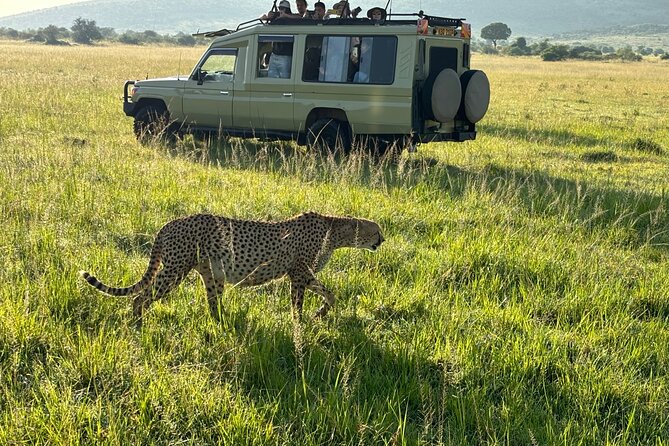 4 Days 4WD Private Maasai Mara, Nakuru Parks with Lodge LUXURY - 4WD Land Cruiser game drives: why the vehicle setup matters