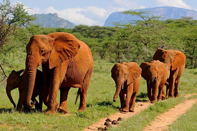 4-Days Best Wildlife Safari: Amboseli, Tsavo West & Tsavo East Private Safari - What you’ll eat and how comfort is handled across three nights