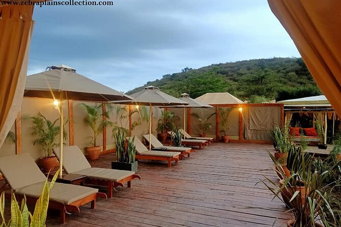 4 Days Enthralling Safaris in Kenya-lake Nakuru Masai Mara - Day 2 into the Maasai Mara: savannah views and a late drive