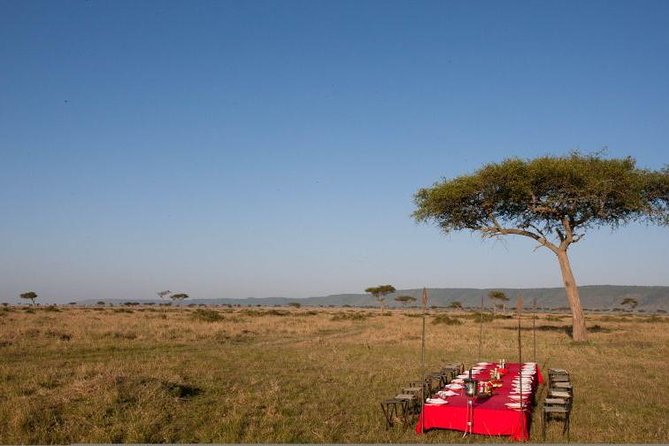 4 Days Enthralling Safaris in Kenya-lake Nakuru Masai Mara - Small-group safari comfort, and why max 8 matters