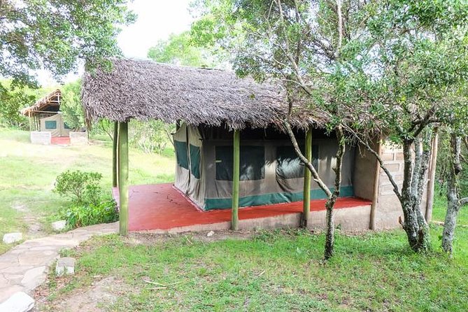 4 days group joining budget safari to Maasai Mara only - Day 2: full Mara time, Mara River focus, and the optional Maasai village