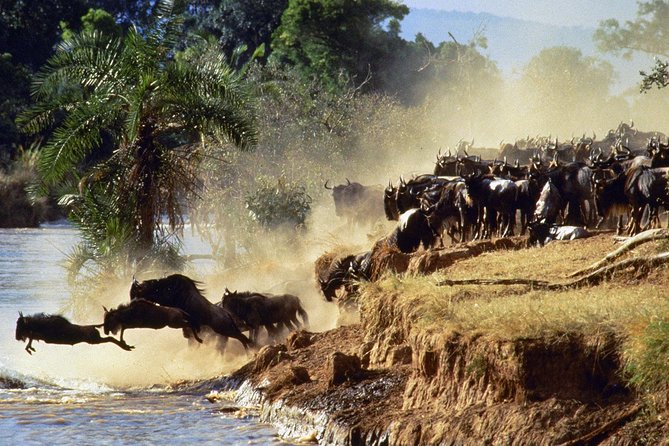 4 days group joining budget safari to Maasai Mara only - Park fees and the real math behind the $397 price