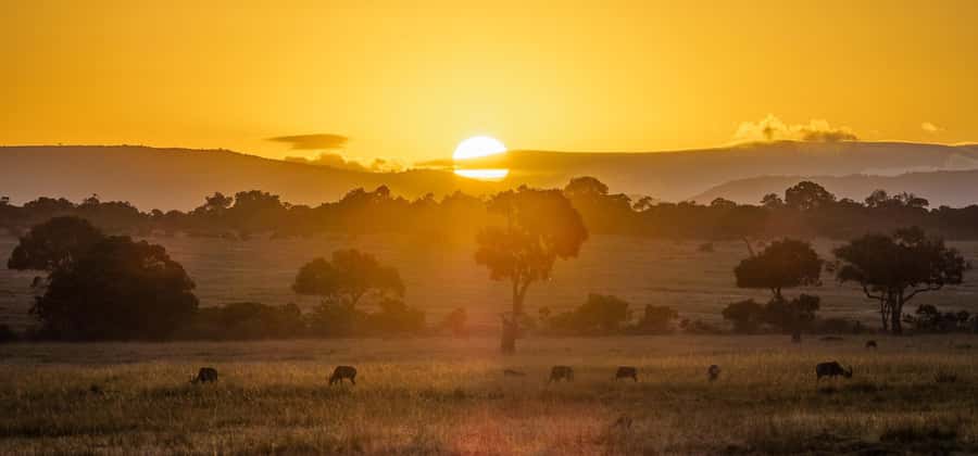 4 Days group safari in a safari van With no park fees - Day 1: Nairobi to Maasai Mara via Rift Valley viewpoints and a Mara sunset drive