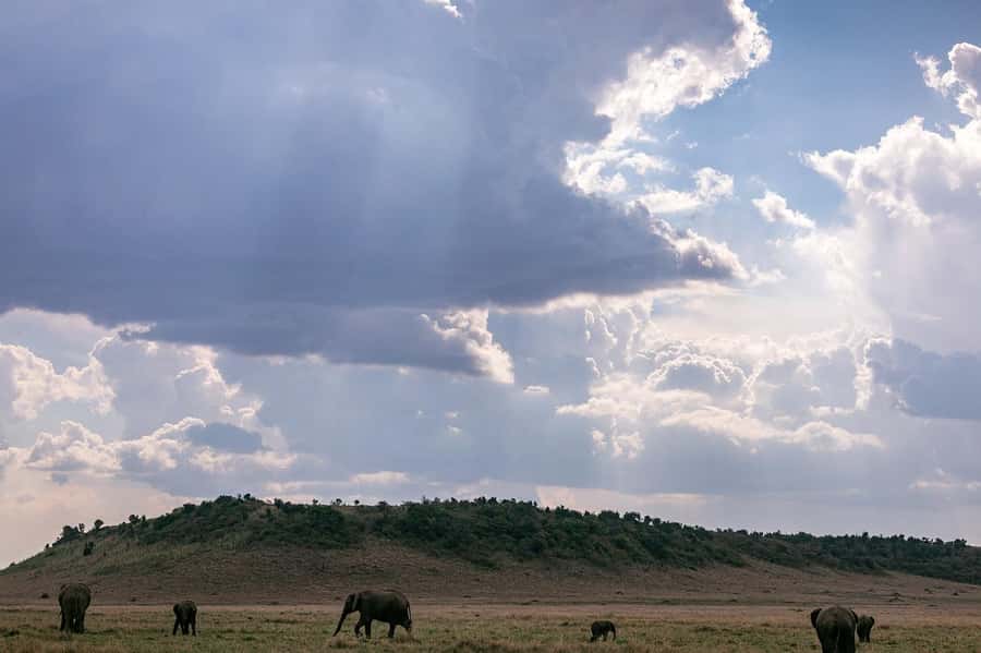 4 days Group safari in Masaai Mara and Lake Nakuru Park - Price and logistics: what $350 really buys (and what it doesn’t)