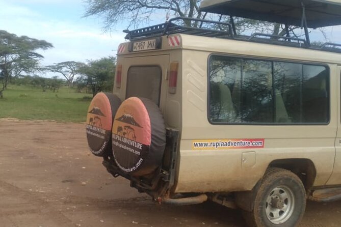 4 Days Kenya Safari - Price and Value: Is $800 Per Person Reasonable for This Setup?