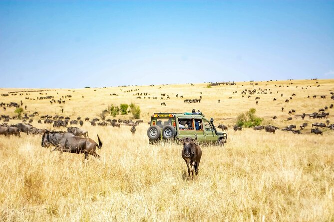 4 Days Lake Nakuru and Masai Mara Luxury Safari - Price and logistics: what you are paying for at $3,170 per person
