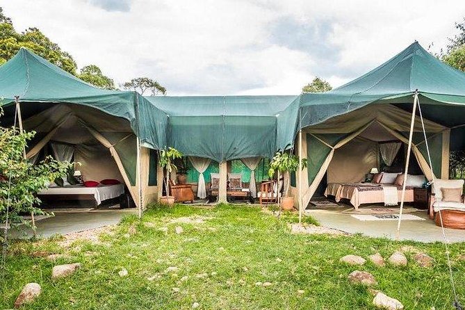 4 days Maasai Mara-Nakuru Mid-Range - Value and comfort: what you are paying for at $1,681.89