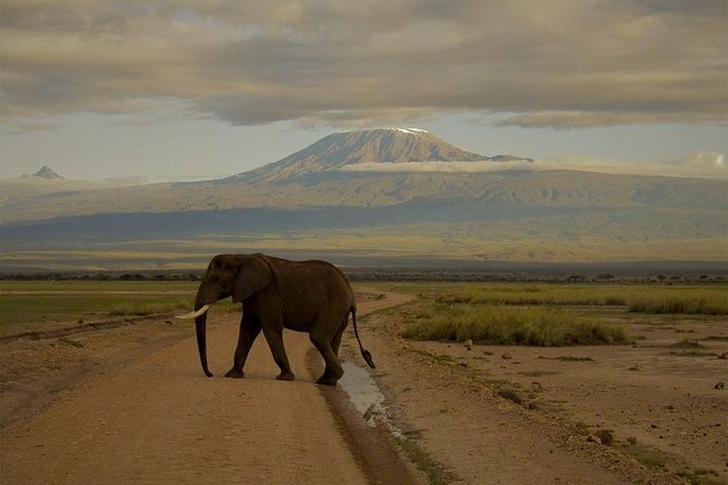4 days Maasai Mara-Nakuru Mid-Range - Logistics that matter: start times, private group style, and what to pack