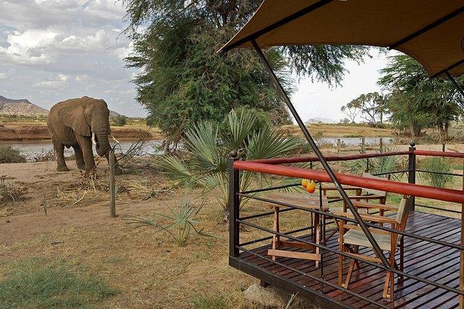 4 days Maasai Mara-Nakuru Mid-Range - Who this safari suits best