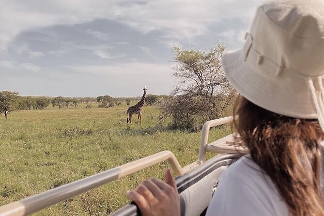 4 Days Masai Mara and Lake Nakuru Mid-Luxury safari - Why Lake Nakuru plus Masai Mara feels like smart safari math