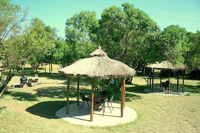 4 Days Masai Mara Camping Safari - Price and Value: What $1,150 Gets You in the Real World