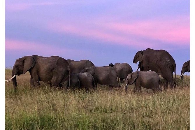 4 Days Masai Mara/Lake Nakuru Budget Safari - Driving to Lake Nakuru: a Rift Valley change of scenery