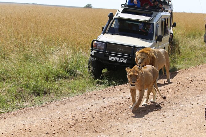4 Days Masai Mara Lake Nakuru Jeep Safari - Price and logistics: what $576.93 is buying (and what to plan for)