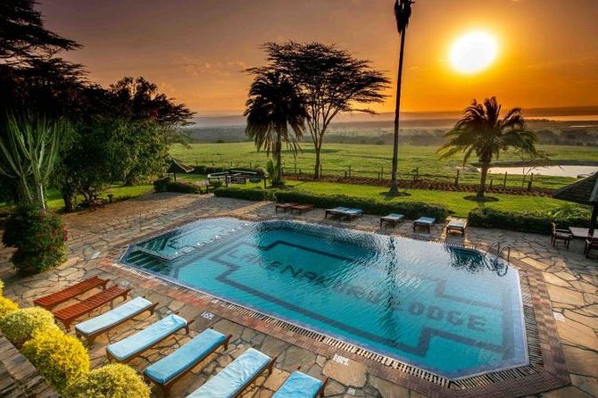 4 Days Masai Mara & Lake Nakuru Lodge Safari - Your driver-guide and vehicle setup: safe, smart spotting makes the difference