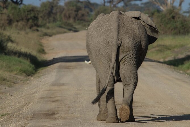 4 Days Masai Mara Nakuru - Lake Nakuru National Park: Rift Valley soda-lake views and a change of pace