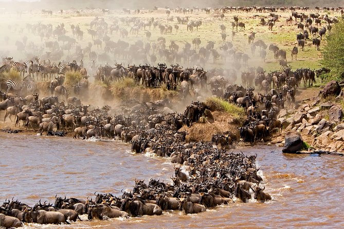 4 days masai mara Nakuru Joining safari - Price and park fees: what $470.59 really covers