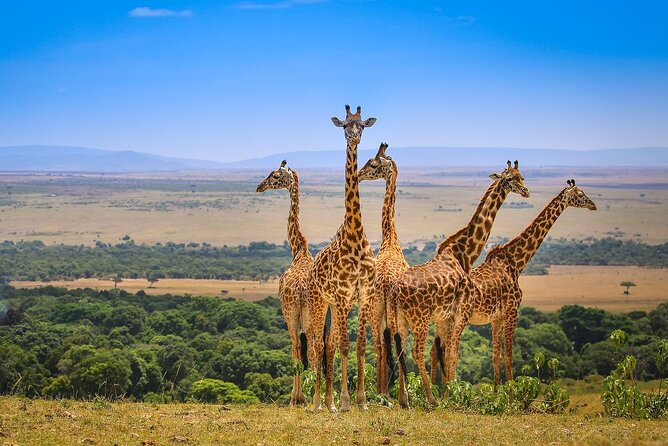 4 days masai mara Nakuru Joining safari - Day 1: Rift Valley viewpoints, Narok country, then into Maasai Mara