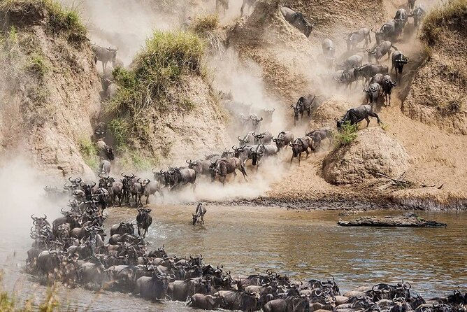4 Days Mid Luxury Safari, Lake Nakuru and Masai Mara. - Full Day Masai Mara: Two Drives, Picnic Lunch Option, and Masai Add-Ons