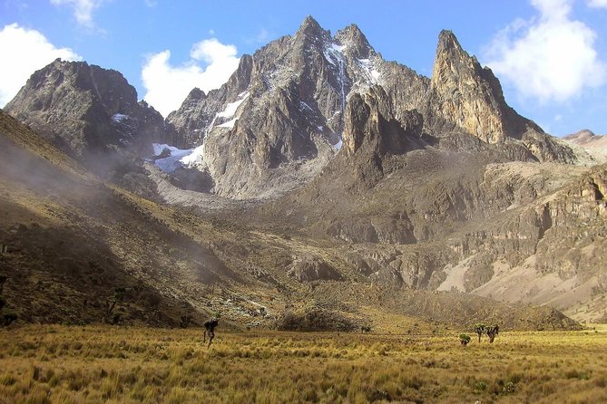 4 Days Mount Kenya Trekking - Why Point Lenana is worth the early starts