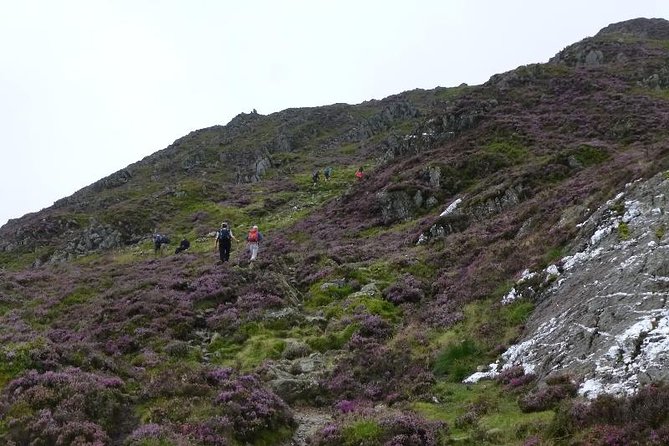 4 Days Mount Kenya - Key highlights worth planning around