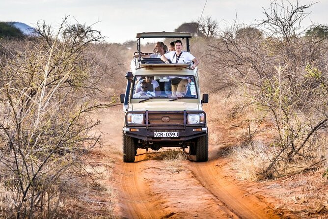 4 Days Private Safari Tour Tsavo and Amboseli from Nairobi - Nairobi to Tsavo and Amboseli: why this 4-day route feels efficient