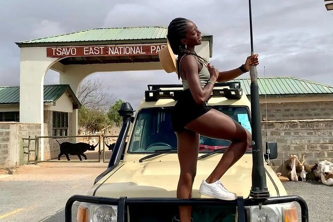4 Days Private Safari Tour Tsavo and Amboseli from Nairobi - Lodging and meals: what is included, and why it matters on safari