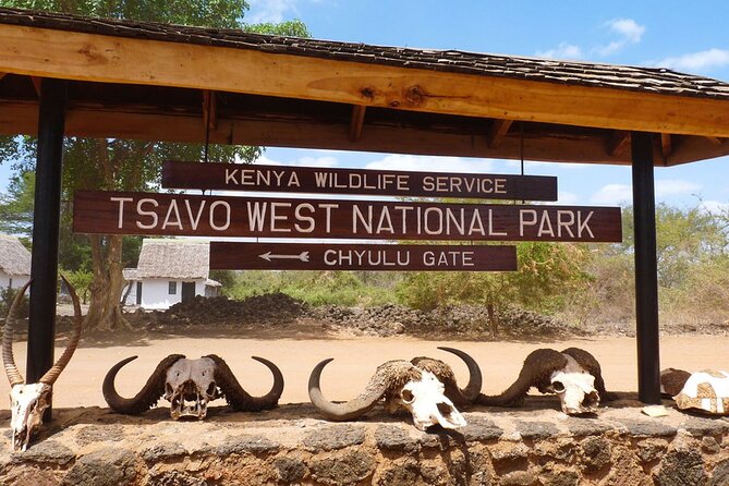4 Days Private Safari Tour Tsavo and Amboseli from Nairobi - Tsavo West: Mzima Springs, rhino sanctuary, and Chyulu hills from a distance