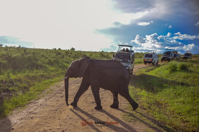 4 Days Safari Adventure Masai Mara and Nakuru Park Group - Day 1: Nairobi to Masai Mara, Rift Valley Stop, and a Sunset Game Drive