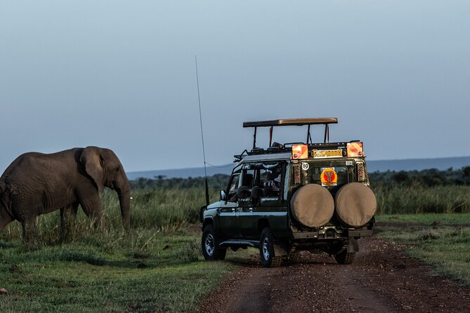 4 Days Safari from Mombasa to Amboseli and Tsavo West and East - Key highlights to expect