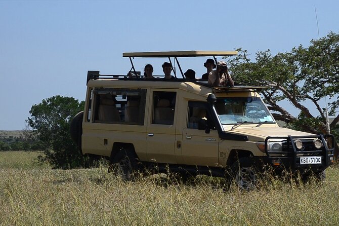 4 Days Safari Lake Nakuru NP Naivasha and Masai Mara - Price and Logistics: Is About $1,961.54 Per Person Worth It?