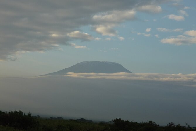 4 Days Safari to Amboseli N/P, Tsavo East N/P. - Day 4 In Tsavo East: Early Predator Hours, Sunrise With Red Elephants, And A Mombasa Finish