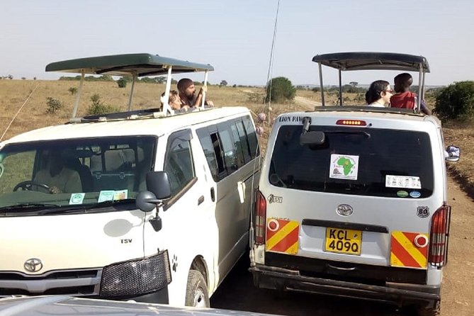 4-days safari: Tsavo east, west and Amboseli national parks - Day 3: Amboseli check-in and classic elephant and buffalo searching