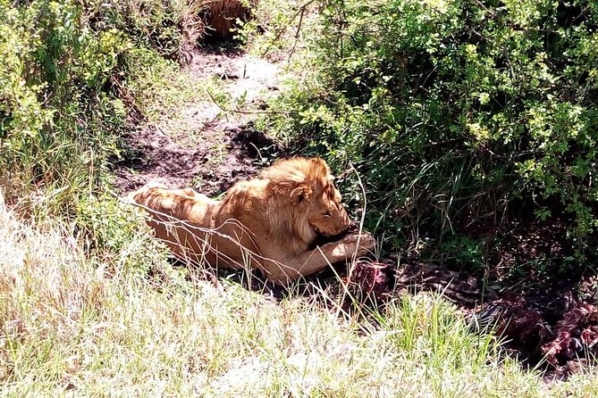 4-days safari: Tsavo east, west and Amboseli national parks - Lodges and meals: where your money actually goes