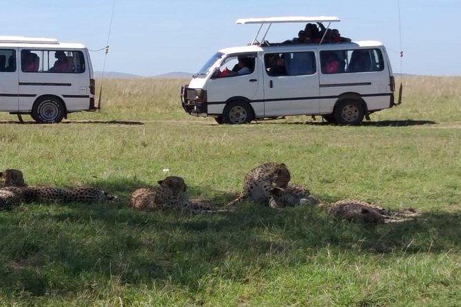 4 Days Small Group Maasai Mara and Lake Nakuru Safari - Where this safari may disappoint: hotels, timing, and expectations