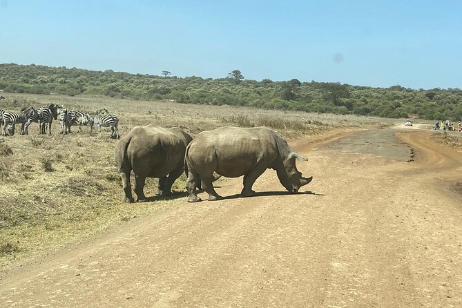 4 Days Tour Landcruiser in Masai Mara and Lake Nakuru - Day 3 reality check: what you are really buying in the Nakuru transfer